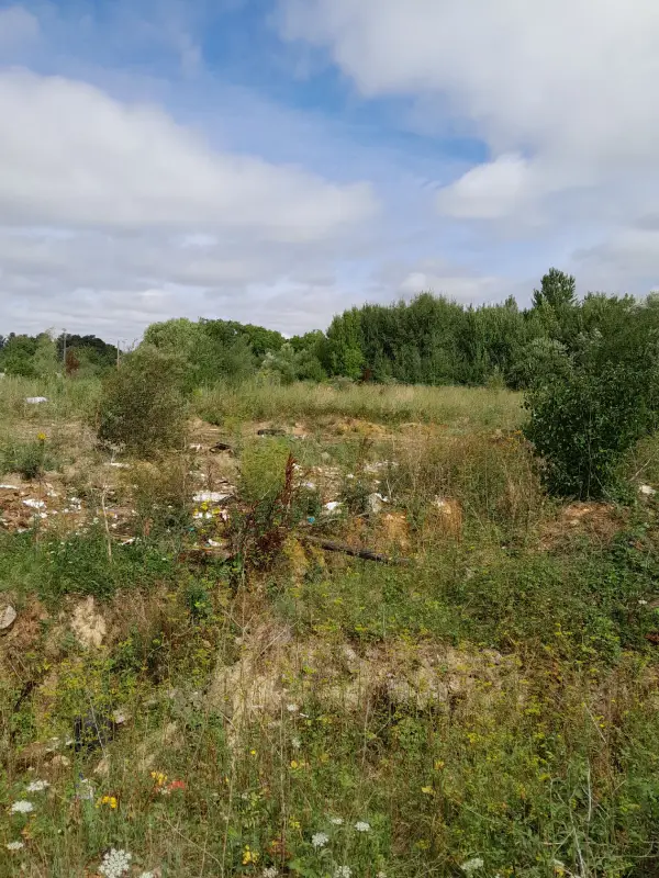 Plateau de calcaire couvert de déchets en Normandie