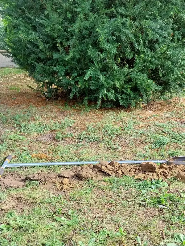 Reconnaissance géologique dans le cadre d'une vente de terrain