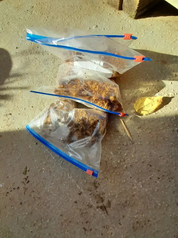 échantillons de sols pour analyses au laboratoire