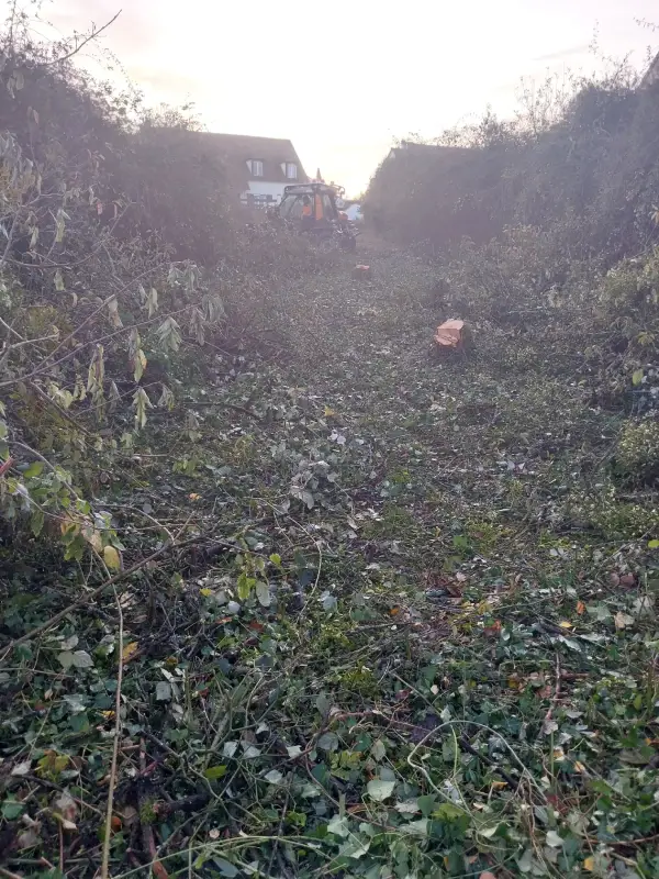 étude de sol G1 ES dans le cadre d'une vente de terrain