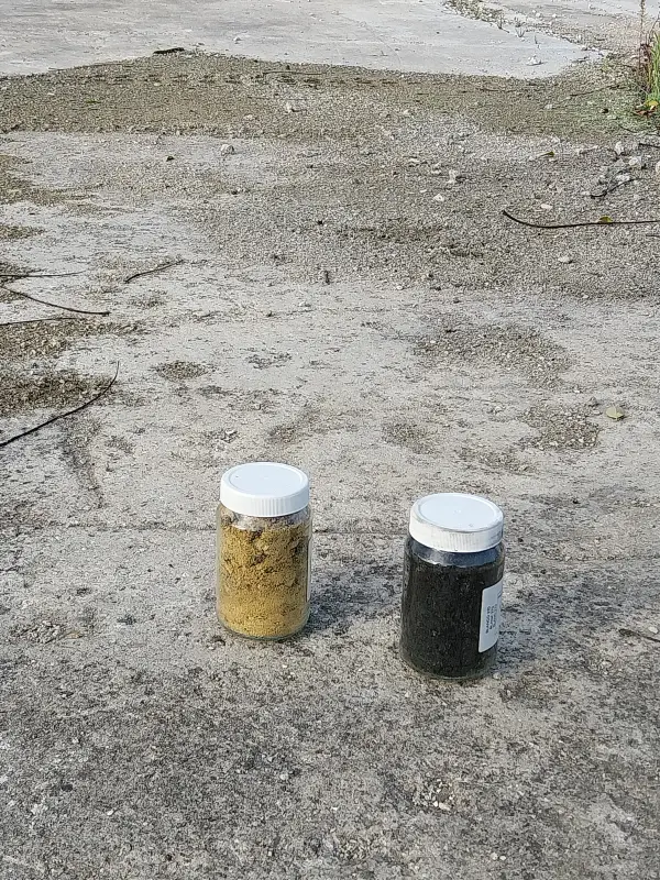 Prélèvement d'échantillons de sols dans le cadre d'un diagnostic de pollution à Argenteuil