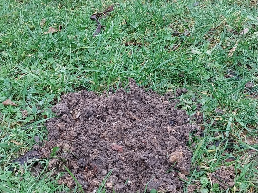 Sondage de reconnaissance des sols dans le cadre d'une étude G1 ES (vente de terrain). Remblais de mauvaise qualité