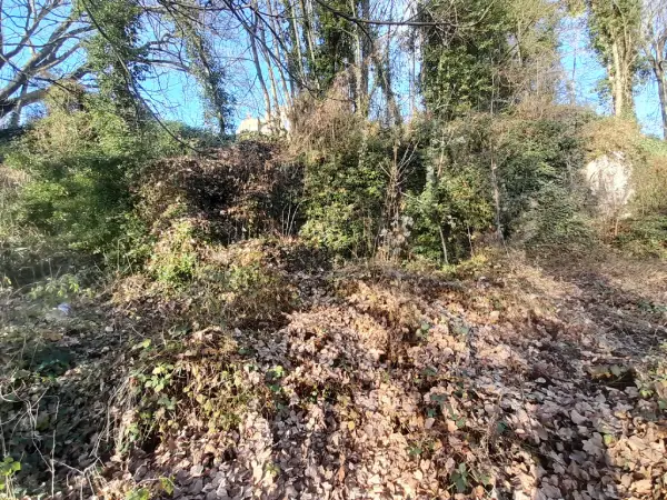 Réalisation de campagne de terrain pour une étude de sol G2 AVP sur un terrain boisé à Melun (77000)