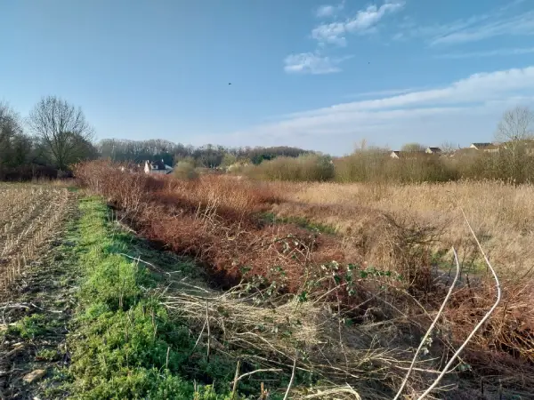 Campagne de reconnaissance des sols réalisé sur un terrain enherbé à Villiers-sur-Marne (94350)