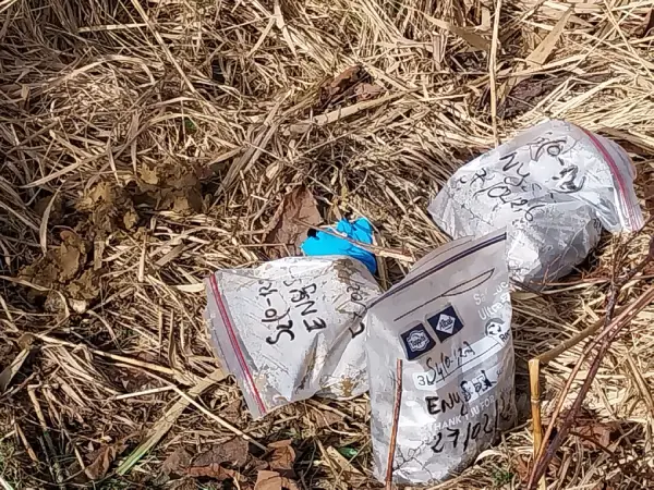 Echantillons de sol sols prélevés sur un site à Melun (77000) dans le cadre d'une étude de sol G1 pour la vente de terrain constructible